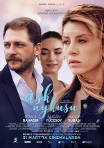 Aşk Uykusu (2017) afişi