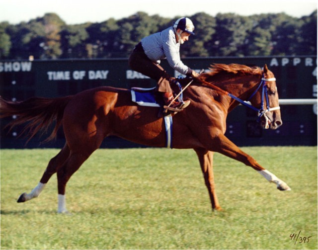 Secretariat-1.jpg