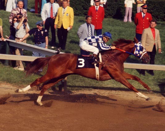 Secretariat-2.jpg