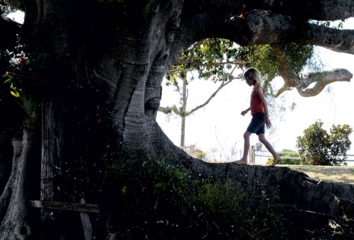 The-Tree-i-2.jpg
