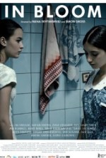 Hayatın Baharı (2013) afişi Hayatın Baharı (2013) afişi