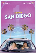 1 Night in San Diego  afişi