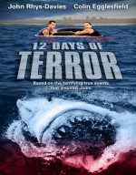12 Days Of Terror (2004) afişi