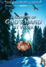 A Glimpse Of God's Hand At Work (2010) afişi