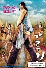 A Tale Of Legendary Libido (2008) afişi