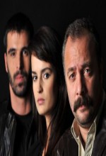 Adanalı (2009) afişi Adanalı (2009) afişi