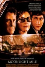 Ayışığında (2002) afişi Ayışığında (2002) afişi