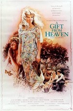 A Gift from Heaven (1994) afişi