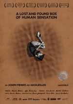 A Lost And Found Box Of Human Sensation A Lost And Found Box Of Human Sensation