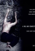 A meg nem érintett (2012) afişi A meg nem érintett (2012) afişi