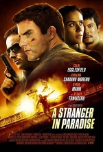 A Stranger in Paradise (2013) afişi
