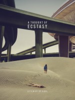 A Thought of Ecstasy A Thought of Ecstasy