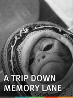 A Trip Down Memory Lane (1965) afişi