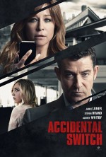 Accidental Switch (2016) afişi