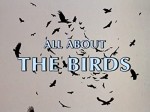 All About 'the Birds' (2000) afişi