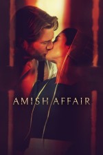 Amish Affair (2024) afişi