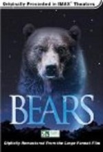 Bears (l) (2001) afişi