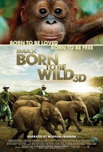 Born To Be Wild (2011) afişi Born To Be Wild (2011) afişi