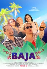 Baja (2018) afişi