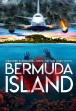 Bermuda Island (2023) afişi