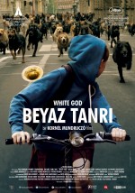 Beyaz Tanrı (2014) afişi Beyaz Tanrı (2014) afişi