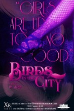 Birds in the City (2018) afişi
