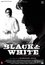 Black & White (2008) afişi