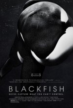 Blackfish (2013) afişi Blackfish (2013) afişi