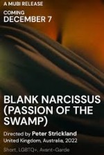Blank Narcissus (2022) afişi