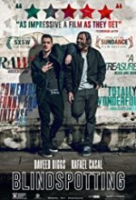Blindspotting (2018) afişi Blindspotting (2018) afişi