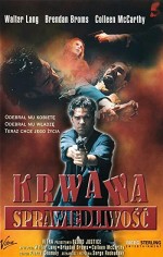 Blood Justice (1995) afişi
