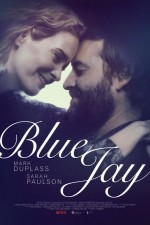 Blue Jay Blue Jay