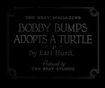 Bobby Bumps Adopts A Turtle (1917) afişi