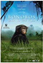 Bonobos: Back to the Wild