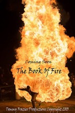 Book of Fire (2015) afişi