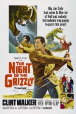 Boz Ayının Gecesi (1966) afişi