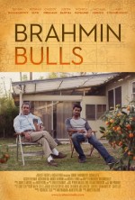 Brahmin Bulls Brahmin Bulls