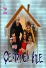 Çekirdek Aile (2002) afişi