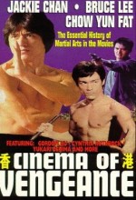 Cinema Of Vengeance Cinema Of Vengeance