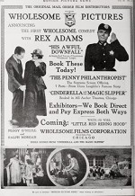 Cinderella and the Magic Slipper (1917) afişi