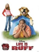 Çocuk Ve Köpek (2005) afişi