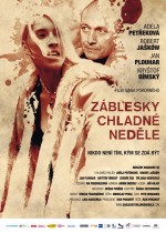 Cold Sunday (2012) afişi Cold Sunday (2012) afişi