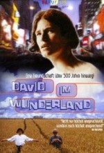 David Im Wunderland  afişi