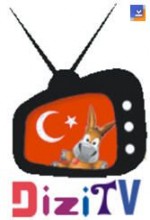 Dizi Tv (2010) afişi