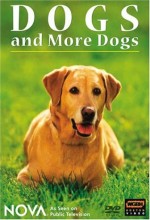 Dogs And More Dogs (2004) afişi