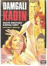 Damgalı Kadın (1966) afişi
