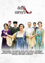 Deli Saraylı (2010) afişi