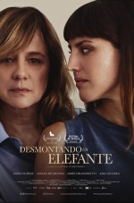 Desmontando un elefante (2024) afişi