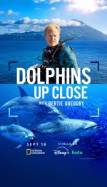 Dolphins Up Close with Bertie Gregory (2025) Fragman (2025) afişi