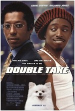 Double Take (2001) afişi